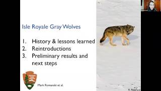 Red, Gray, and Isolated: New Discoveries of Two Emblematic Wolf Populations with Dr. Kristin Brzeski