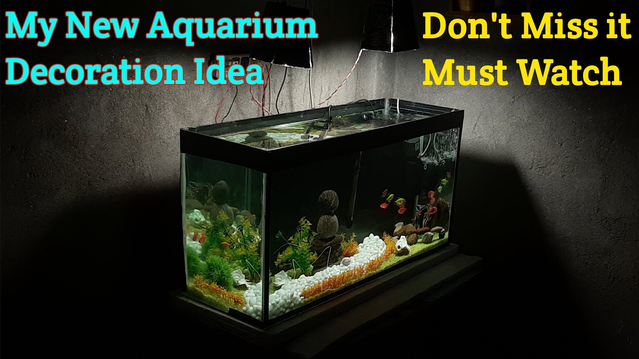 Fish Tank Decoration Ideas (with Artificial Grass) Fish Tank Setup