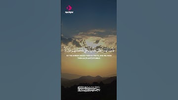 تلاوة نادرة تهز الوجدان بصوت خاشع من زمن النقاء