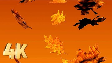 3D Animation Fall Autumn Leaves Falling Against An Orange Background Wallpaper VJ Loop Visuals Video