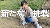小6娘の4年ぶりの発達検査 結果を受けて今思うこと Wisc Iv知能検査 Youtube