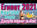 СМОТРИ‼️Дашуля кормит рыбок в Красном море.Египет 2021