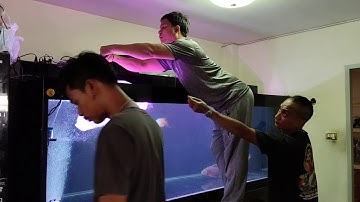 ฺBig Head & Shoulder - ล้าง 100/ลงปลาแดงใหม่ 2019 Set 1