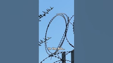 Did You Know: Your Memories Are Lying to You (Mandela Effect)