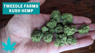 Kush Hemp CBD Bud Review (Tweedle Farms)