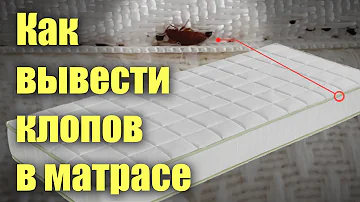КЛОПЫ В МАТРАСЕ: почему они там заводятся и как от них избавиться?