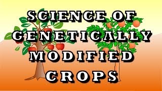 Science Of Genetically Modified Crops