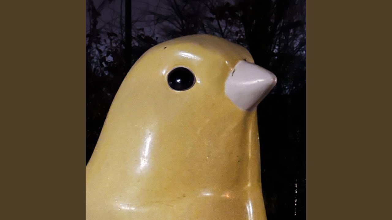 we-run-asics-in-the-dark-youtube