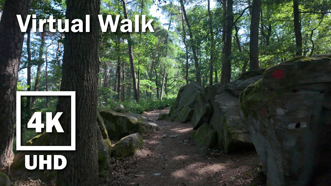 15-minute Hike Virtual Walk | 4K UHD Stereo | no Music | Palatinate Forest | 52