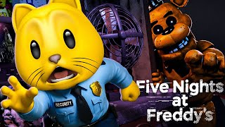 Fnaf 1 All Nights 17  Game
