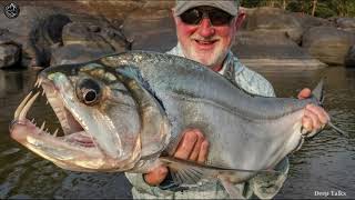 इंसान की हड्डी तक चबा जाने वाली मछलियां || Most dangerous fishes in the world || piranha | payara