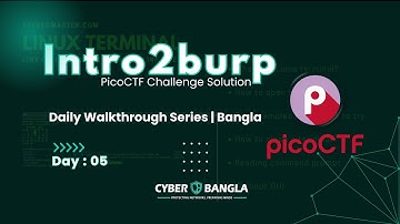 PicoCTF Intro2burp Challenge Solution | Daily Walkthrough Series (Bangla)