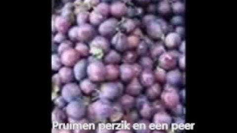 Fruitsalade karaoke