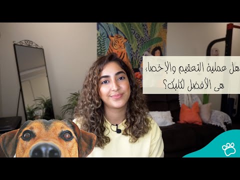 فيديو: كم يكلف تعقيم الكلب؟