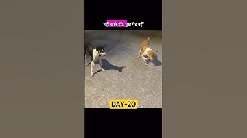 DAY-20/30 challenge❤️♻️ #ytshorts #shorts #youtubeshorts #mahii #mahii07 #motivation #dicsipline