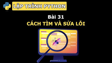 #31 Tìm và sửa lỗi trong lập trình. Đây là những gì bạn nên làm - Lập trình python - vninfographic