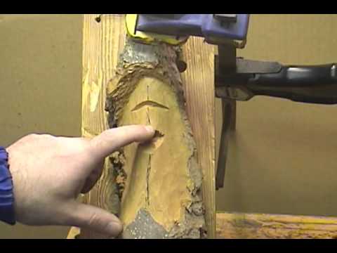 Cottonwood Bark Wood Spirit Cottonwood Bark Wood Spirit