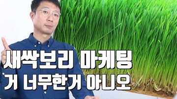 인기많은 새싹보리, 마케팅에 속지 않으려면? [1편]