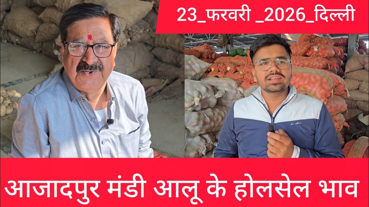 23 February 2026 दिल्ली 🥔आलू के भाव Azadpur Delhi mandi today #PotatoMarket #delhipotatomarket 