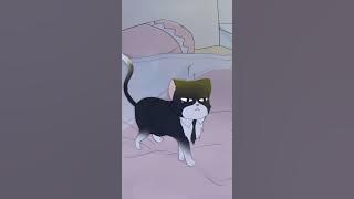 The Cat CEO Bai Yihan Mixed Episodes Part 1