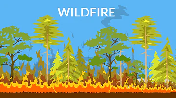 Wildfires || wildfires reasons