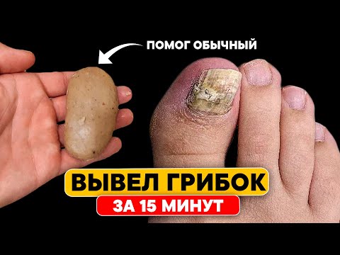 Видео: Как написать ответное письмо от Деда Мороза