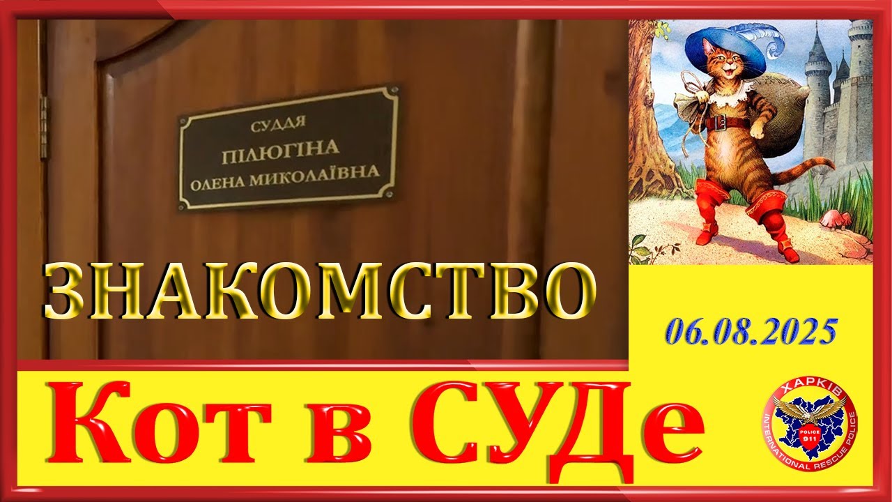 КОТ В СУДЕ- ЗНАКОМСТВО