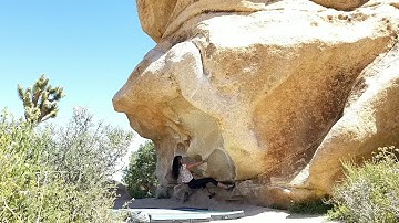 Roof Romp V4 | Joshua Tree