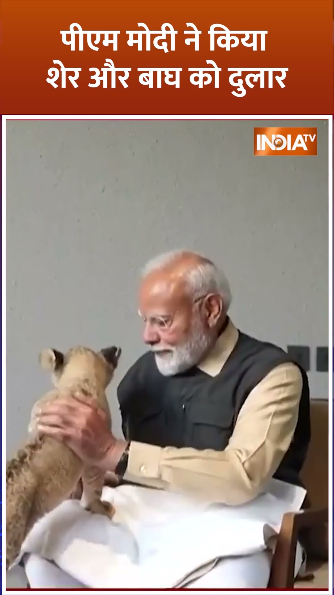 #pmmodi पीएम मोदी ने किया शेर और बाघ को दुलार #vantara #vantaraproject #indiatv