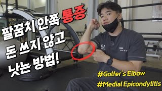 무조건 보셔야 팔꿈치, 어깨 통증, 손 저림 없어집니다! (4 Best Golfer's Elbow Pain Relief Treatment)