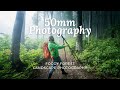 Landscape Photography: Foggy Forest with the 50mm F1.4 Lens Challenge