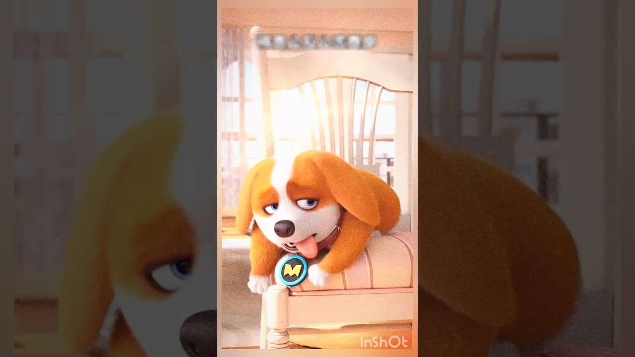 Moco's Secret to Making Yummy Food!