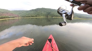 Chèo sup lure lóc trên hồ đồng xanh đồng nghệ