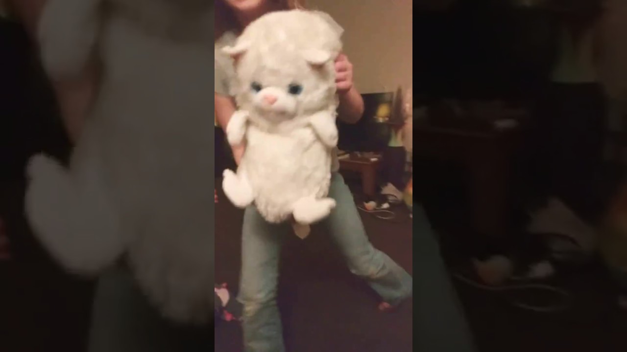 Hideaway pets remake