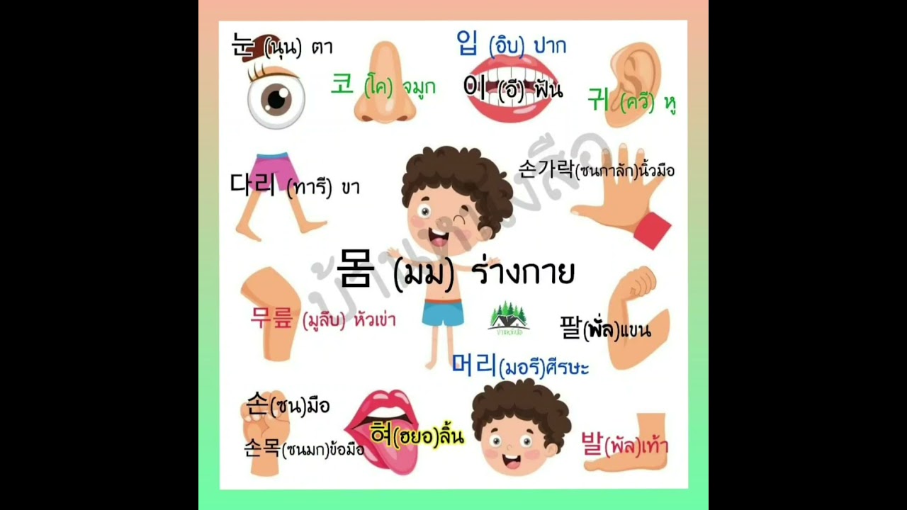 คำศัพท์ภาษาเกาหลี 몸 (มม) ร่างกาย