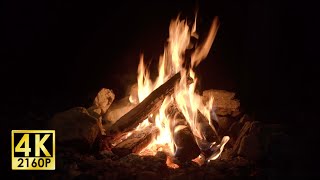 Autumn insects and the sound of a campfire