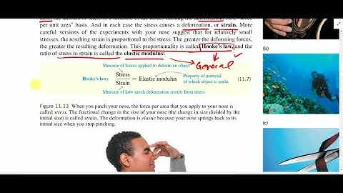 Equilibrium and Elasticity