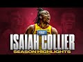 Isaiah collier season highlights  offense  defense  2024 nba draft