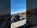 Саратовские волны