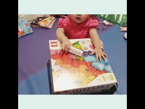 Educational toys for Kids with Pororo, Lego Duplo Blocks, Paw Patrol, and more!. 