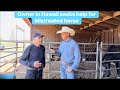 Fearful Horse was abused with ropes and is Reactive!