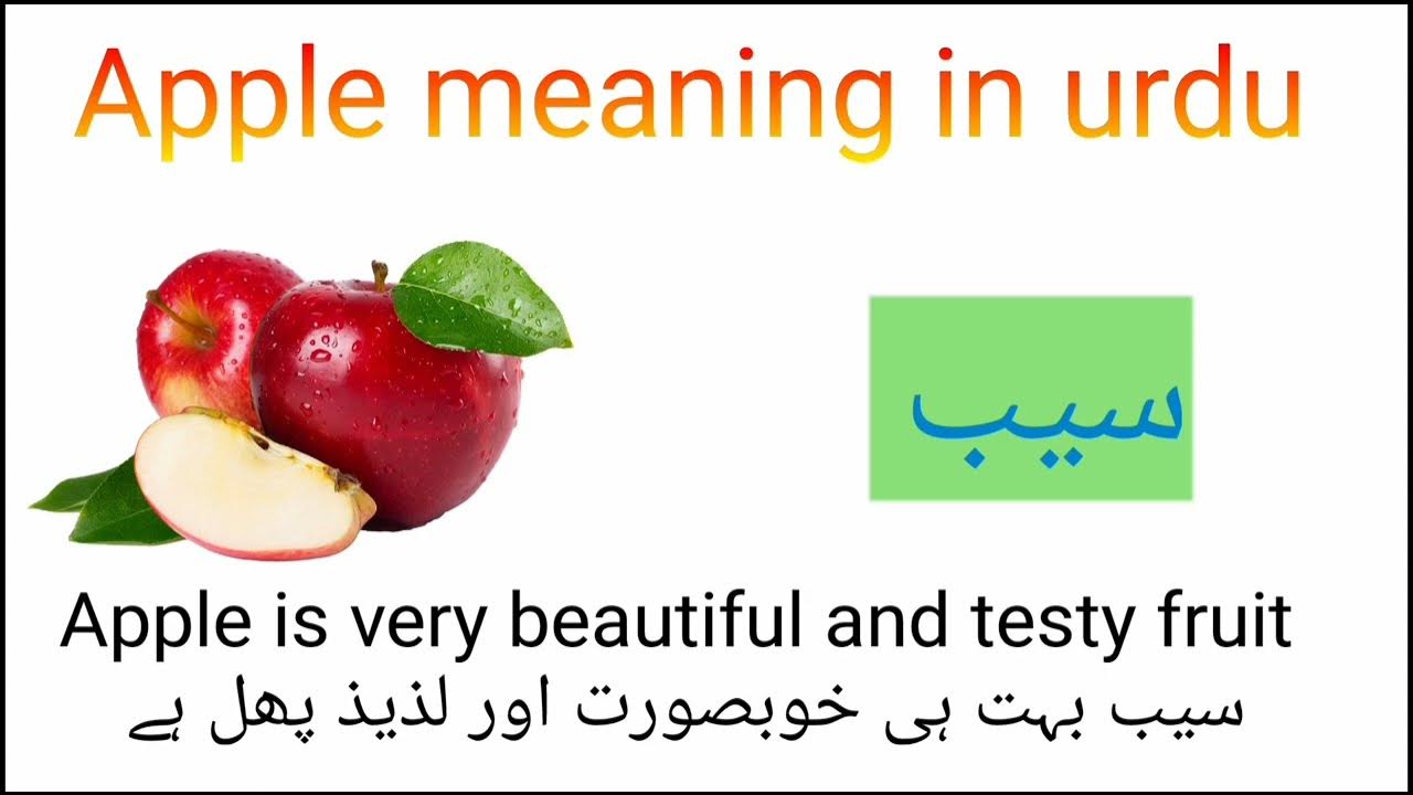 apple essay in urdu