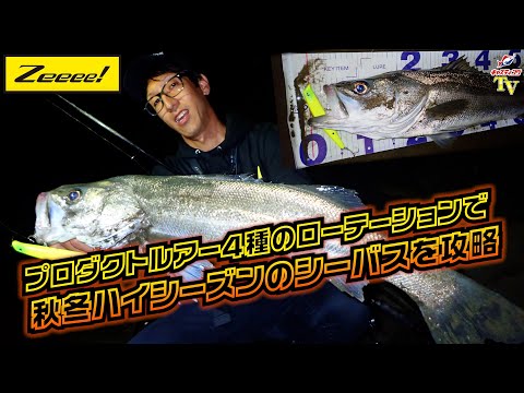Zeeee!】秋冬ハイシーズンのシーバスをプロダクトルアー4種の