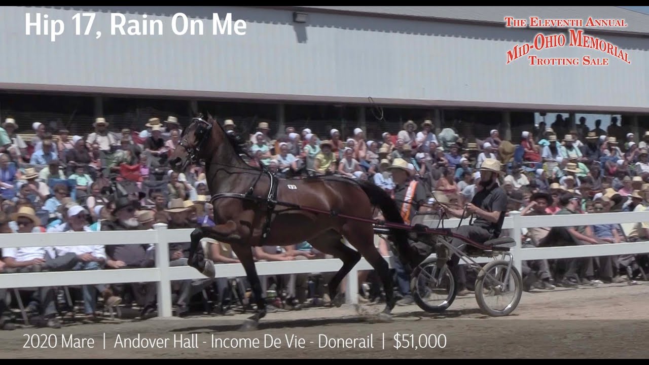 Hip 17, Rain On Me 51,000 Mid Ohio Memorial Trotting Sale 2023