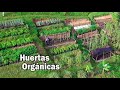 HUERTAS ORGÁNICAS AGRICULTURA LIMPIA