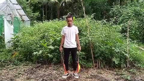 Semaphore Flag Signals And Phonetic Alphabet SCS SY2021-2022 #HATSS #creatinglifeschampions