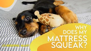Why Does My Mattress Squeak? How To Fix A Squeaky Bed | The Bedding Mart