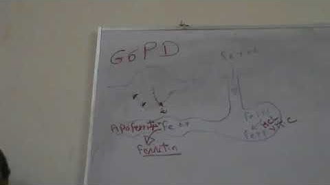 Blood Revision 1 Dr Mohamed Fayez