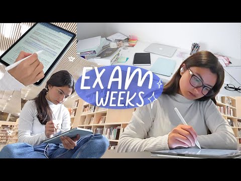 STUDY VLOG: productive exam weeks, late night library sessions, trying to be a good student for once