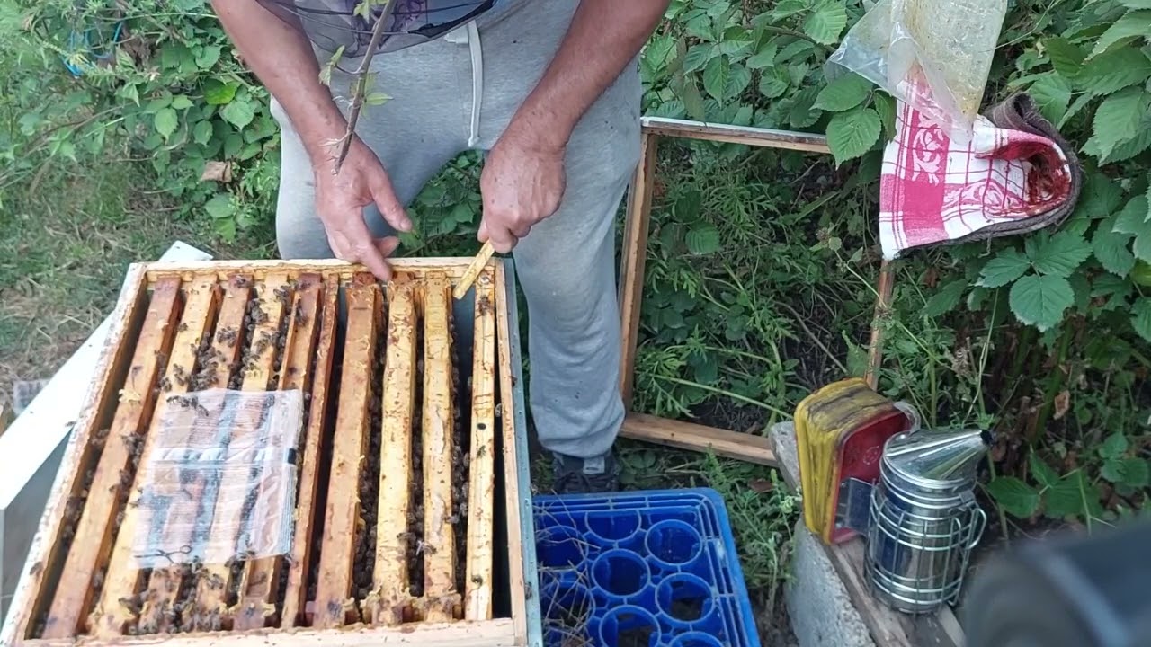 Nr 137, unificarea cu succes a 2 roi